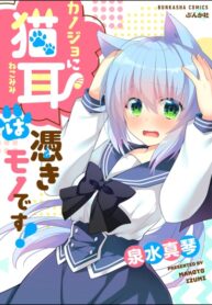 Cover 87221