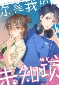 Cover 87225