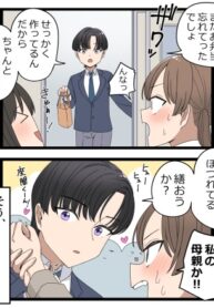 Cover 87241