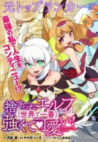 Cover 87293