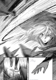 Cover 87331