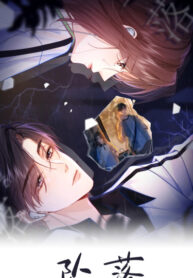 Cover 87357
