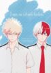 Cover 87545