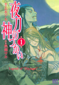 Cover 87589