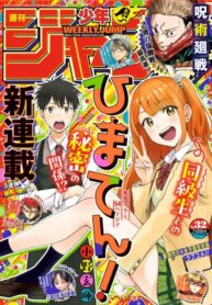 Cover 87599