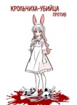 Cover 87795