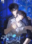 Cover 88097