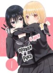 Cover 88145