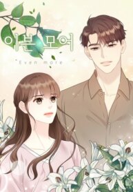 Cover 88477
