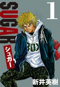 Cover 88571