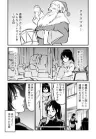 Cover 88617