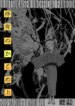 Cover 89038