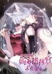Cover 90176