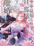 Cover 90519