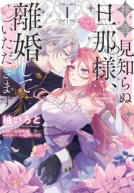 Cover 90519