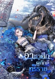 Cover 90537