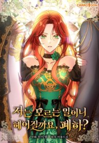 Cover 90975