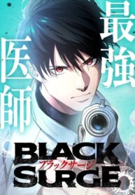 Cover 91087