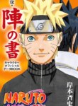 Cover 91197