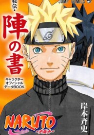 Cover 91197