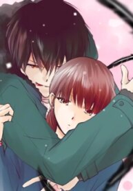 Cover 91207