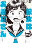 Cover 91211