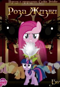 Cover 91223