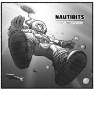 Cover 91253