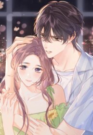 Cover 91508