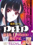Cover 91616