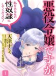 Cover 91646
