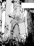 Cover 91708