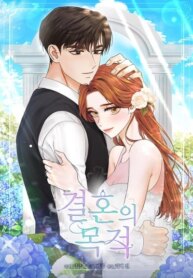 Cover 93254