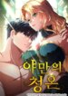 Cover 93453