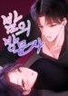 Cover 93518