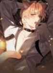 Cover 93585