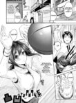 Cover 94417