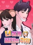 Cover 94954