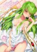 Cover 95448