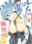 Cover 95498