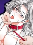 Cover 95955