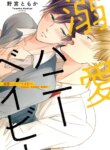 Cover 96084