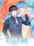 Cover 96086