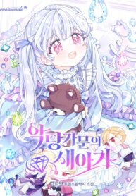 Cover 96333