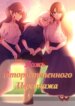 Cover 96345