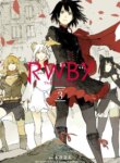 Cover 96355
