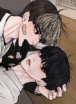 Cover 96378