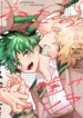 Cover 96388