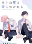 Cover 96800