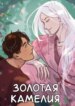 Cover 96826